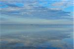 Lake in Morning, Enfores de la Vignolle, Saintes-Maries-de-la-Mer, Camargue, Bouches-du-Rhone, Provence-Alpes-Cote d'Azur, France