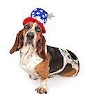 Basset Hound dog wearing a 4th of July hat. Isolated on white