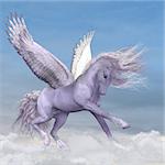 Silver white Pegasus plays and frolics among fluffy cumulus clouds.