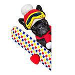 french bulldog dog with ski equipment, wearing goggles , gloves , a hat and a red scarf,beside a white blank banner or placard, isolated on white background