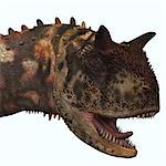 Carnotaurus was a theropod carnivorous dinosaur that lived in Argentina in the Cretaceous Period.