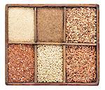 a variety of gluten free grains (buckwheat, amaranth, brown rice, millet, sorghum, teff,  red quinoa) in a rustic wooden box isolated on white