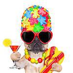 fawn french bulldog dog ready for summer vacation or holidays, wearing sunglasses and having a  cocktail,  isolated on white background