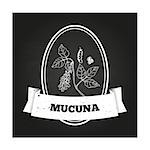 Health and Nature Collection. Badge template with a herb on chalkboard background. Mucuna