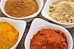 four healthy spices (turmeric, ginger, cinnamon and paprika) in white bowls