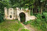 Ancient Gate Ruins on the Forest Edge