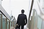 Rear view of an Asian Indian businessman with briefcase descending steps.