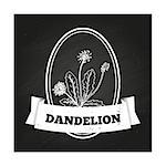 Health and Nature Collection. Badge template with a herb on chalkboard background. Dandelion