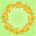 Card with Round Frame from Orange Sea-buckthorn Berries on Green Background. Vector Illustration