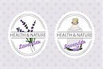 Health and Nature Collection. Badge templates with a herb and bottle with oil on spotted seamless background. Lavender -  Lavandula angustifolia