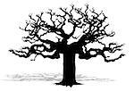 Illustration of silhouette of a tree as a symbol of nature on a white background.