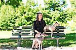 Young attractive girl  sitting on the bench with two greyhounds in the park