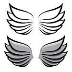 vector set. two pairs of wings. Black and colored