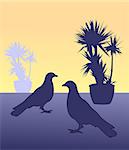 Silhouettes of two birds and two flowerpots with cactus.