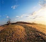 Dry grass on a meadow in mountains at sunset