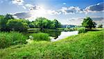 Calm river in the forest in sunny day