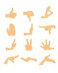 Vector illustration of a  hand gestures set