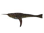 Doryaspis is an extinct primitive jawless fish that fed on plankton in the Devonian Period of Norway.