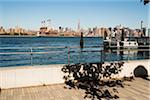 View of Manhattan from Williamsburg, Brooklyn, New York City, New York, USA