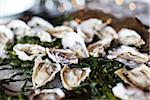 Close-up of Tray of Oysters and Seaweed at Wedding Reception