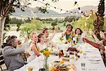 Young couple and guests toasting with champagne during wedding reception in domestic garden