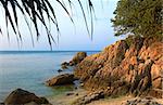 Tree and sea on Koh Phangan, Thailand