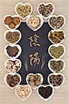 Chinese herbal medicine selection with acupuncture needles and calligraphy script. Translation reads as yin yang.