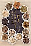 Acupuncture needles and chinese herbal medicine selection with calligraphy script. Translation reads as acupuncture chinese medicine is a traditional and effective medical solution.