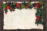 Autumn fruit and nut border on parchment paper forming a background.
