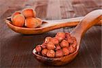 Whole hazelnut and hazelnut seed on wooden spoons on dark brown wooden background. Culinary nuts.