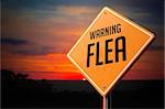 Flea on Warning Road Sign on Sunset Sky Background.