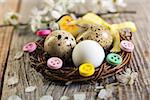 Easter nest with quail eggs on an old table.