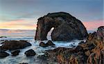 Horse Head Rock at sunrise.  A natural rock formation that has been eroded over time into the shape and appearance of a horse drinking water.   The rock lies in a secluded pebbly beach in Bermagui, south coast NSW, Australia