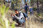 Young female hiker photographing on smartphone in forest, Los Angeles, California, USA