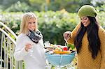 Young women having barbecue in garden