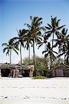 Palm trees and thatched buildings on beach