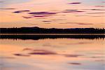 Forest reflecting in lake at sunset