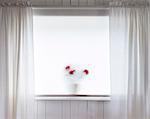 White curtains and mat-glass window
