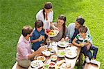 Family and friends gather for picnic