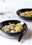 Buckwheat Risotto with Chicken, Apples and Fennel, on black plates with fork, studio shot on white background
