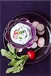 Purple plate with raddish slices and mint dip, studio shot on purple background
