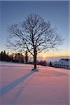 Landscape with Sun Setting over Clouds and Hill in Winter, Bavarian Forest, Bavaria, Germany