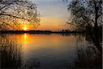 Trees and lake at Sunrise in Early Spring, Riedstadt, Hesse, Germany