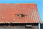 Close-up of broken roof of an Old Barn, Hesse, Germany