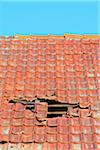 Close-up of broken roof of an Old Barn, Hesse, Germany