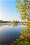 Lake with mist and Trees in Early Morning Light, Early Spring, Hanau, Erlensee, Germany