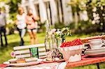 Garden party food table, group of friends in background