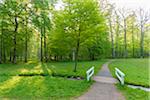 Wooden Bridge in Early Spring, Park Schonbusch, Aschaffenburg, Lower Franconia, Bavaria, Germany