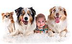 three months baby and dogs in front of white background