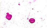 Abstract grunge ink splatters of pink color as background.